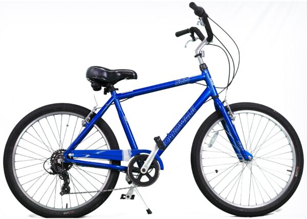 Men’s 7-Speed Bike