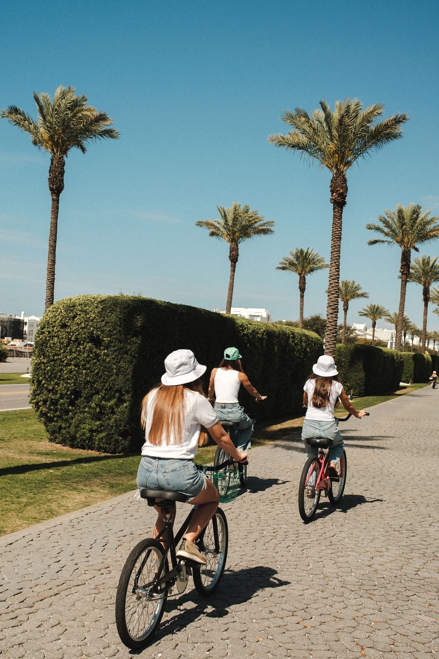 Three riders cycling past palm trees on a coastal path