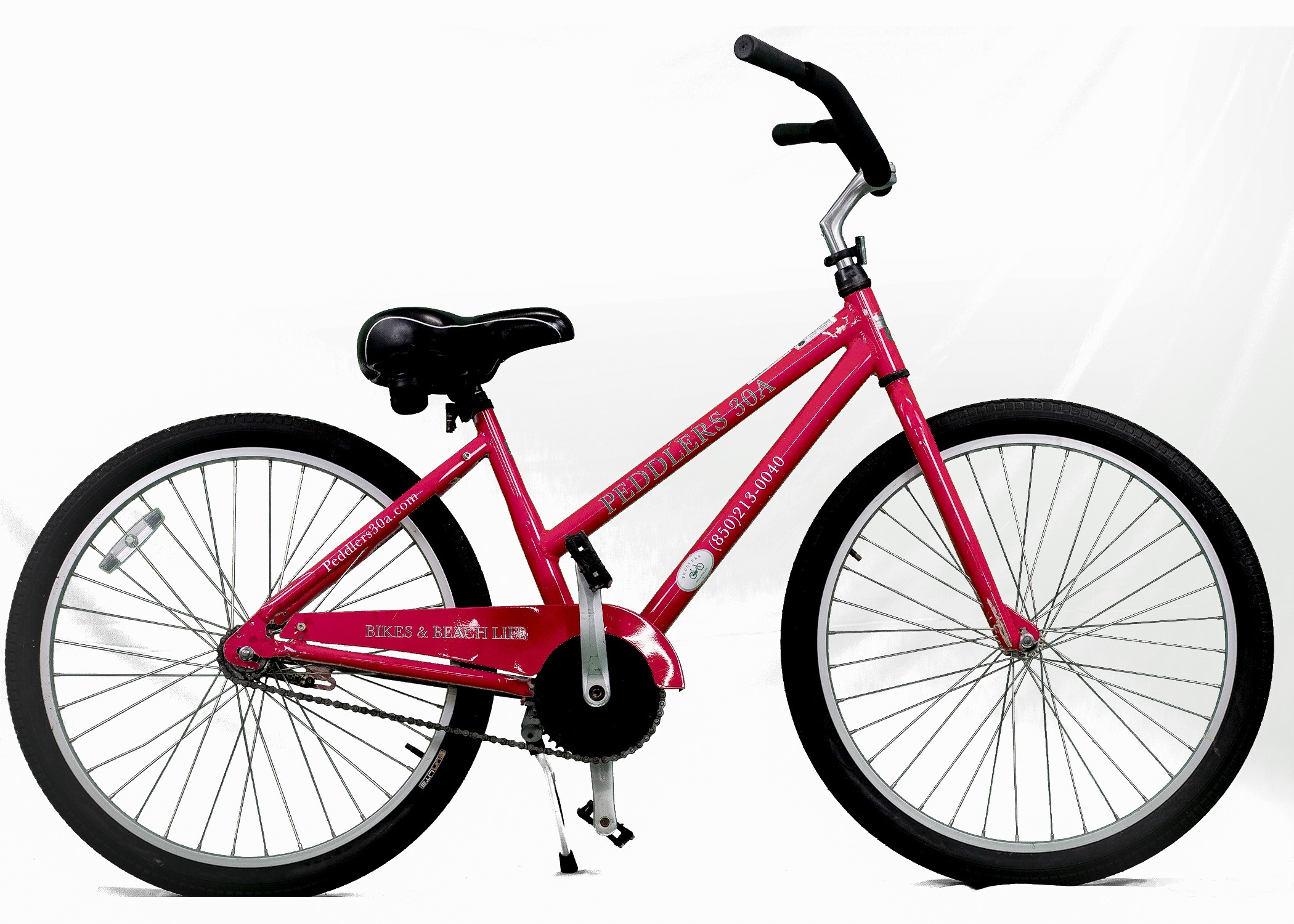 Adult Female Cruiser