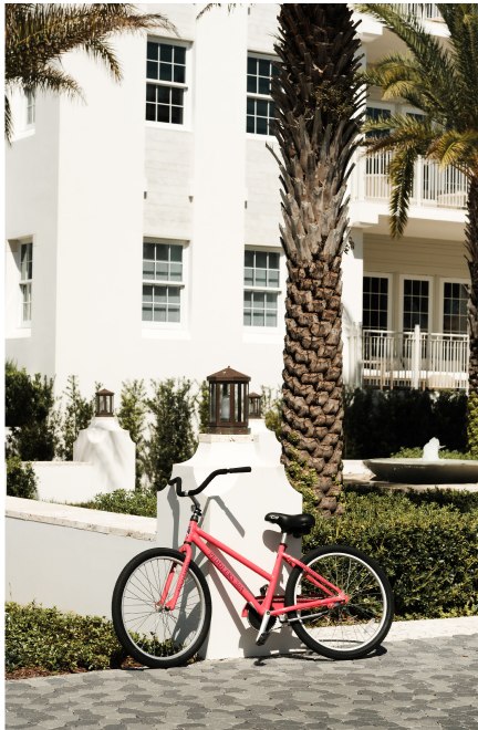 A coral cruiser resting beside a palm tree